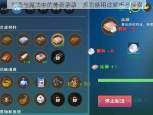 创造与魔法中的神奇茅草：多功能用途解析与探索