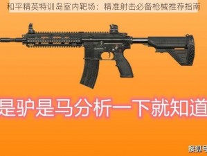 和平精英特训岛室内靶场：精准射击必备枪械推荐指南