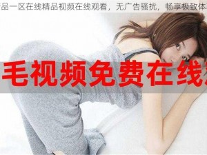 精品一区在线精品视频在线观看，无广告骚扰，畅享极致体验