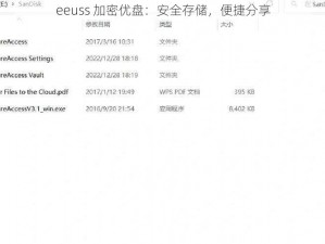 eeuss 加密优盘：安全存储，便捷分享