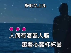 抖音热门歌曲好久没有你的心引发热议，探索其背后的音乐故事与情感传递