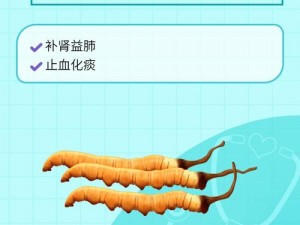 想不想修真千年虫草高效采集攻略：探寻最佳刷图策略获取更多珍贵资源，哪些场景成最强收益之地？