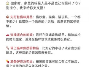 喵星人安装指南：全面解析配置步骤与注意事项