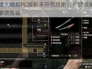 怪物猎人崛起PC版新手开荒指南：关键点解析与注意事项攻略