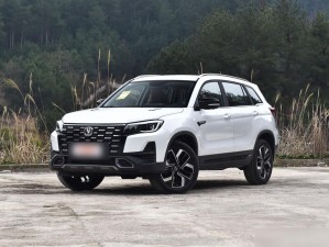 久免费一级 SUV 国产神车，好看还免费