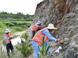 大地中文资源第9页_如何在大地中文资源第 9 页中找到所需信息？