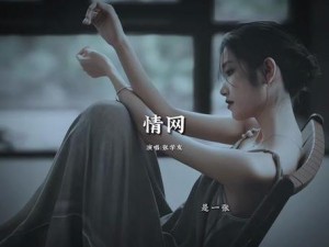 情网歌曲视频：一网情深，带你领略爱情的酸甜苦辣