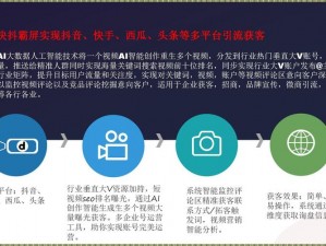 seo 短视频网页入口引流：抓住热点，提升流量