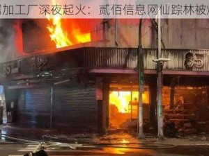 金属加工厂深夜起火：贰佰信息网仙踪林被烧毁