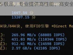 欧美 VPSWINDOWS 极品，专业提供高性能、高安全性的云服务器解决方案