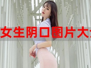 凸凹女厕嘘嘘voyeur(凸凹女厕嘘嘘voyeur：探秘女性私密空间)