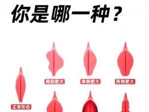 ZOZ0ZO女人另类ZOZ的介绍—ZOZ0ZO 女人另类 ZOZ 是什么？有什么特别之处？