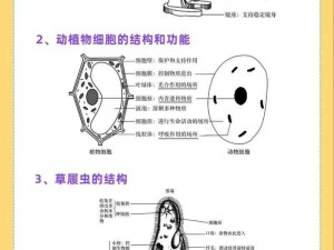 生物图鉴全面解析：定义内容及功能介绍