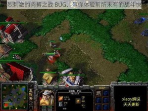 激烈刺激的肉搏之战 BUG，带你体验前所未有的战斗快感