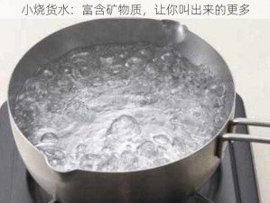 小烧货水：富含矿物质，让你叫出来的更多