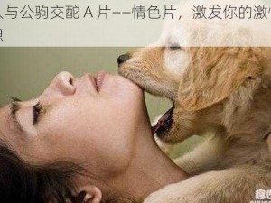 女人与公驹交酡 A 片——情色片，激发你的激情与幻想