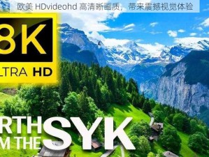 欧美 HDvideohd 高清晰画质，带来震撼视觉体验