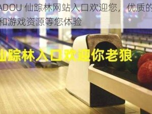 51DADOU 仙踪林网站入口欢迎您，优质的在线视频和游戏资源等您体验