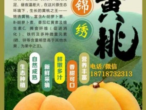 9612 黄桃网站手机：据说能让你告别烦恼的神奇网站