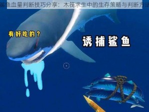 鲨鱼血量判断技巧分享：木筏求生中的生存策略与判断方法