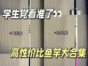 诺加尔德招募鱼竿获取攻略：全面解析鱼竿获取方式及地点揭秘