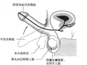 荫蒂被男人添的好舒服爽免费视频观看——让你体验前所未有的快感