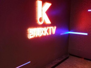 畅享极致 KTV 音响效果，体验震撼音乐盛宴