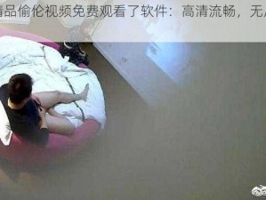 国产精品偷伦视频免费观看了软件：高清流畅，无广告骚扰