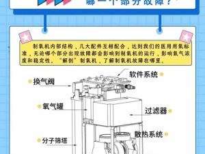 缺氧氧气蕨的独特制氧方式及其制氧原理介绍