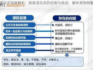 全民英雄混合流深度解析：探索混合流的优势与挑战，解析其独特魅力与前景