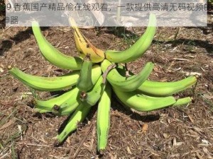 99 香蕉国产精品偷在线观看，一款提供高清无码视频的神器