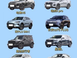 免费一级suv大全(免费一级 SUV 大全：高性价比之选)