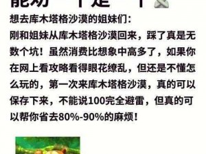 《探秘我去这说的啥呢吗？电脑版下载与安装使用全攻略》