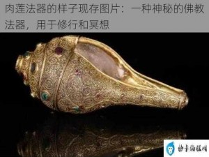 肉莲法器的样子现存图片：一种神秘的佛教法器，用于修行和冥想