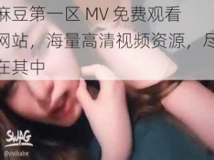 麻豆第一区 MV 免费观看网站，海量高清视频资源，尽在其中