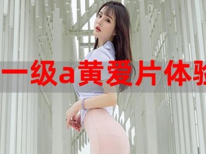 一级黄色a-一级黄色 a 是什么意思？