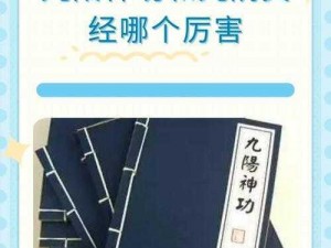 九阴真经初中高阶内功属性详解：一窥九阳神力之奥秘