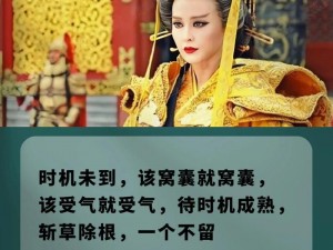 心如止水定乾坤,王朝崛起之攻城掠地策略与智慧