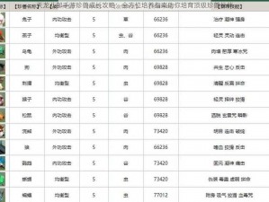 天龙八部手游珍兽成长攻略：全方位培养指南助你培育顶级珍兽伙伴