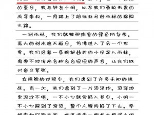 七勇者游戏乐趣体验与简介：探险之旅的惊险与趣味