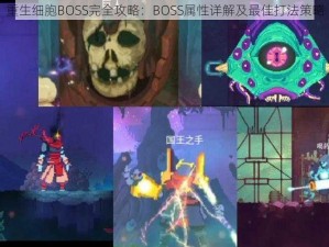 重生细胞BOSS完全攻略：BOSS属性详解及最佳打法策略