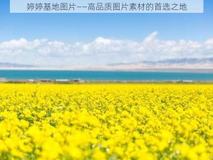 婷婷基地图片——高品质图片素材的首选之地