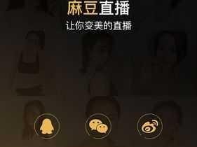 麻豆直播平台下载 app，一款汇聚众多高颜值主播的真人直播互动平台