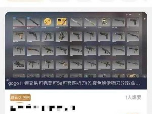 老外免费 csgo 交易网站——安全可靠的游戏饰品交易平台