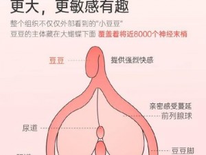 产品介绍：一款极致享受的情趣用品，带来前所未有的刺激体验