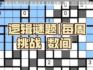 别让妻子发现私房钱秘密游戏第49关解密攻略：智斗谜题挑战新境界