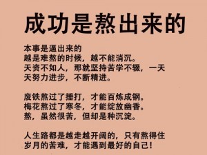 日日努力不懈，久久有成：成功需要时间的沉淀