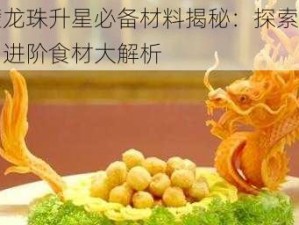 东璧龙珠升星必备材料揭秘：探索美食界，进阶食材大解析