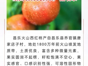 精产国品一产区的优质农产品，口感鲜美，营养丰富