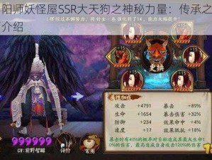 揭秘阴阳师妖怪屋SSR大天狗之神秘力量：传承之宝，角色全面介绍